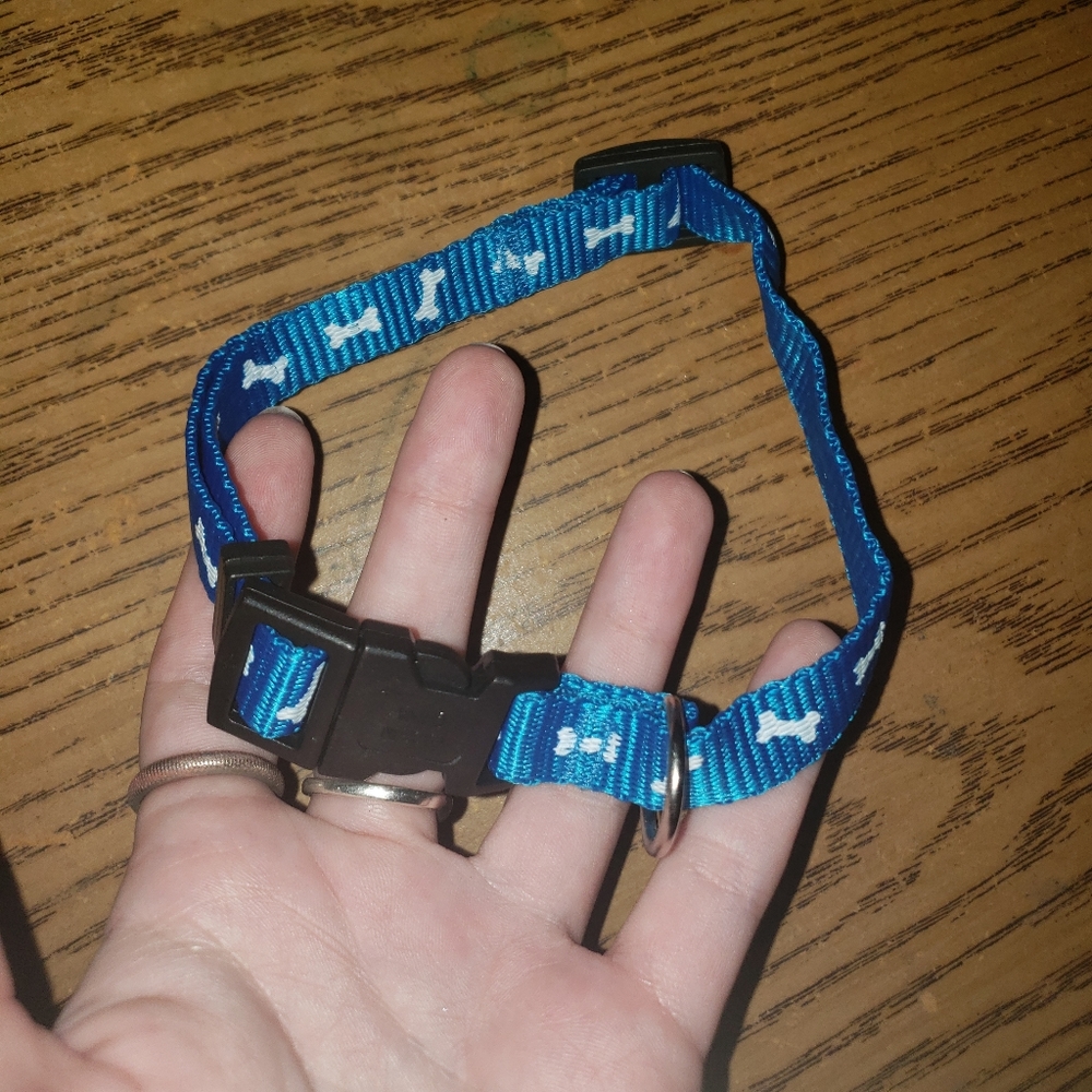 Dog Collar w/ Harness